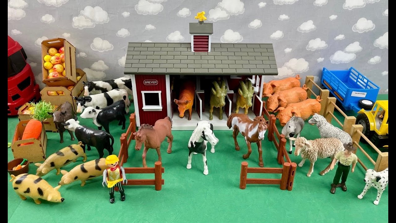 PLAY WITH OUR STABLE / BRINCANDO COM O NOSS ESTABULO