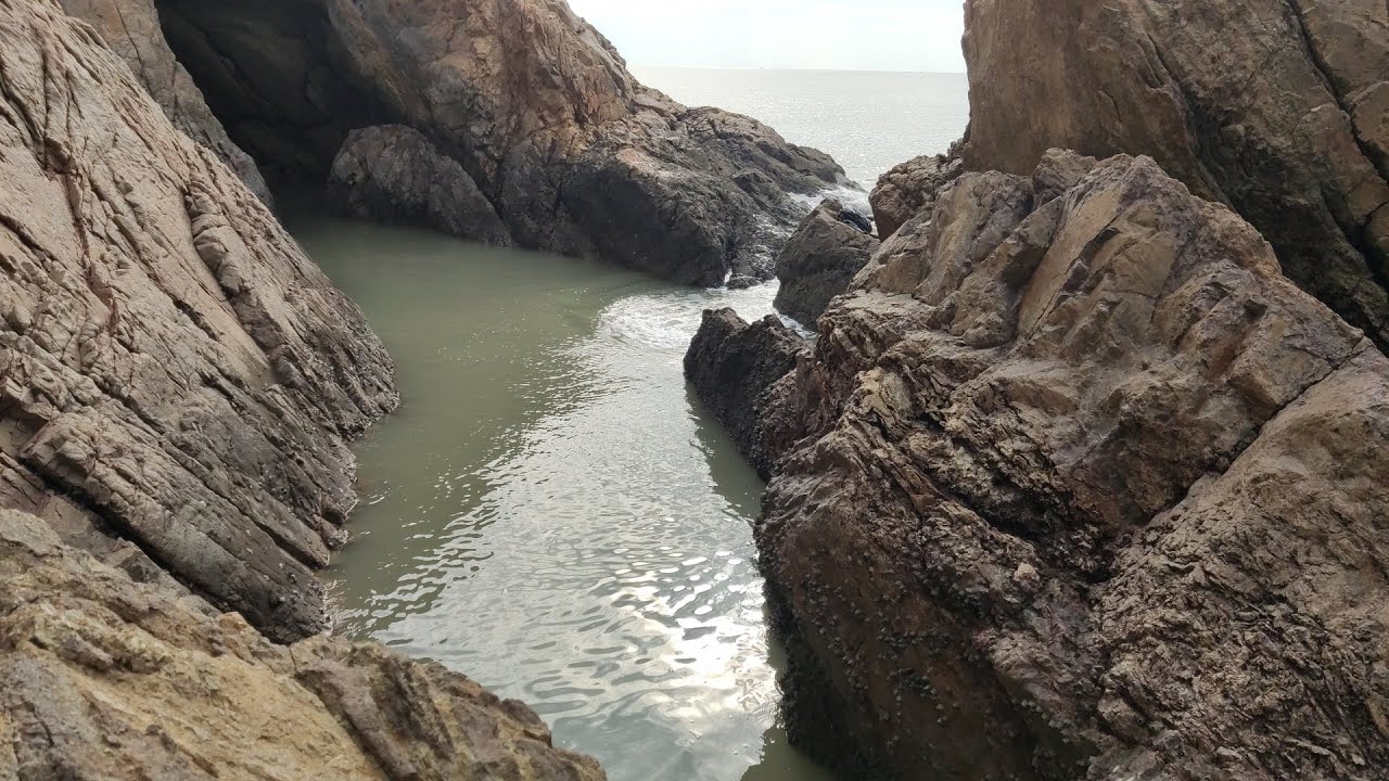 鱼群搁浅四米深大水坑，用四小时抽干后，坑底场景让小伙不淡定了