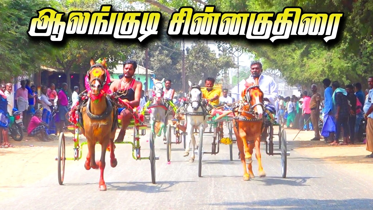 ஆலங்குடி சின்னக்குதிரை  08-03-2026