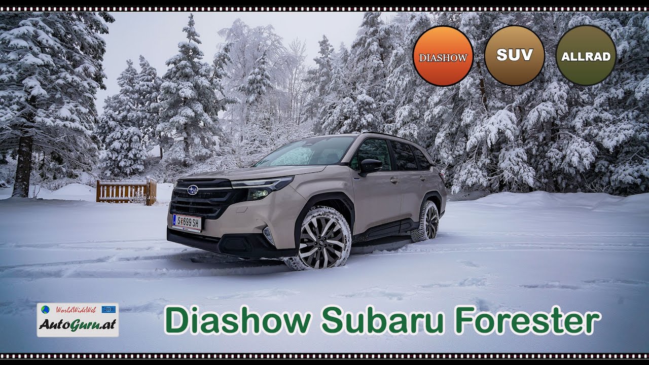 Diashow Subaru Forester Dauertest Update