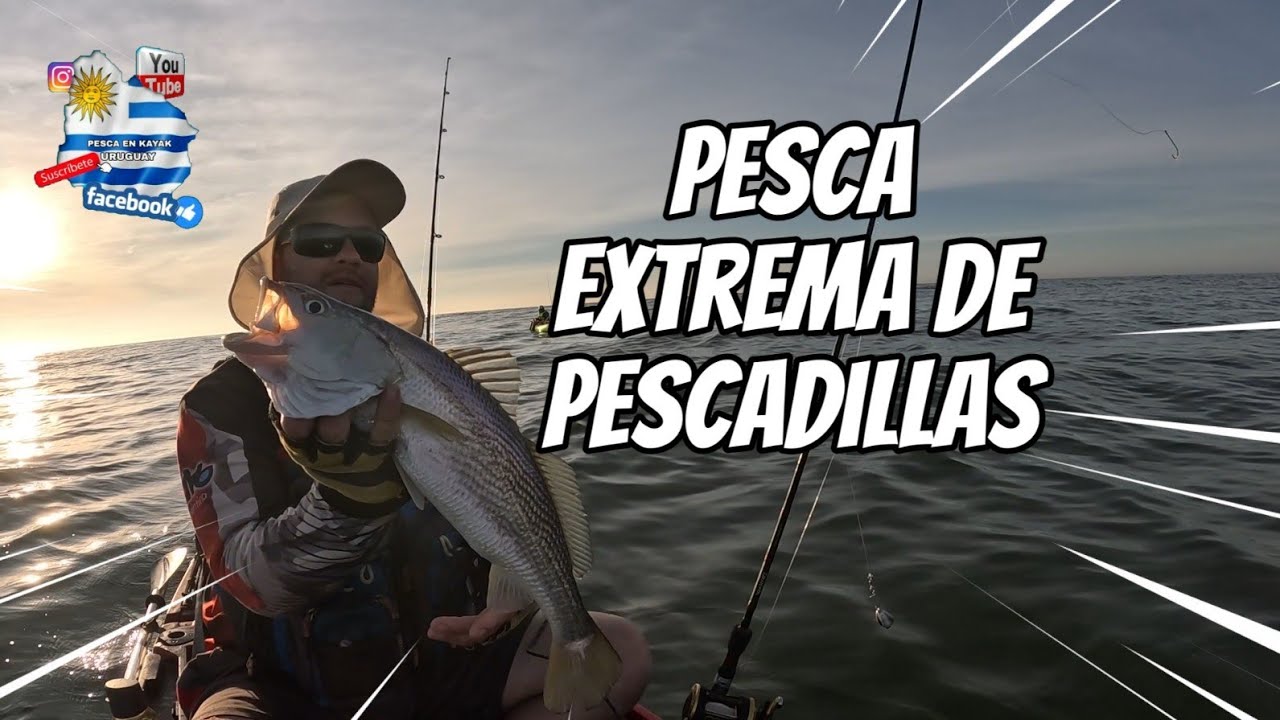 Pesca extrema de pescadillas