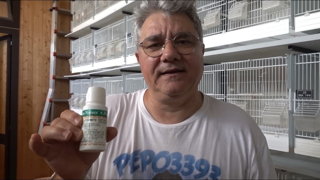 Preveniamo l'Acariosi Respiratoria!