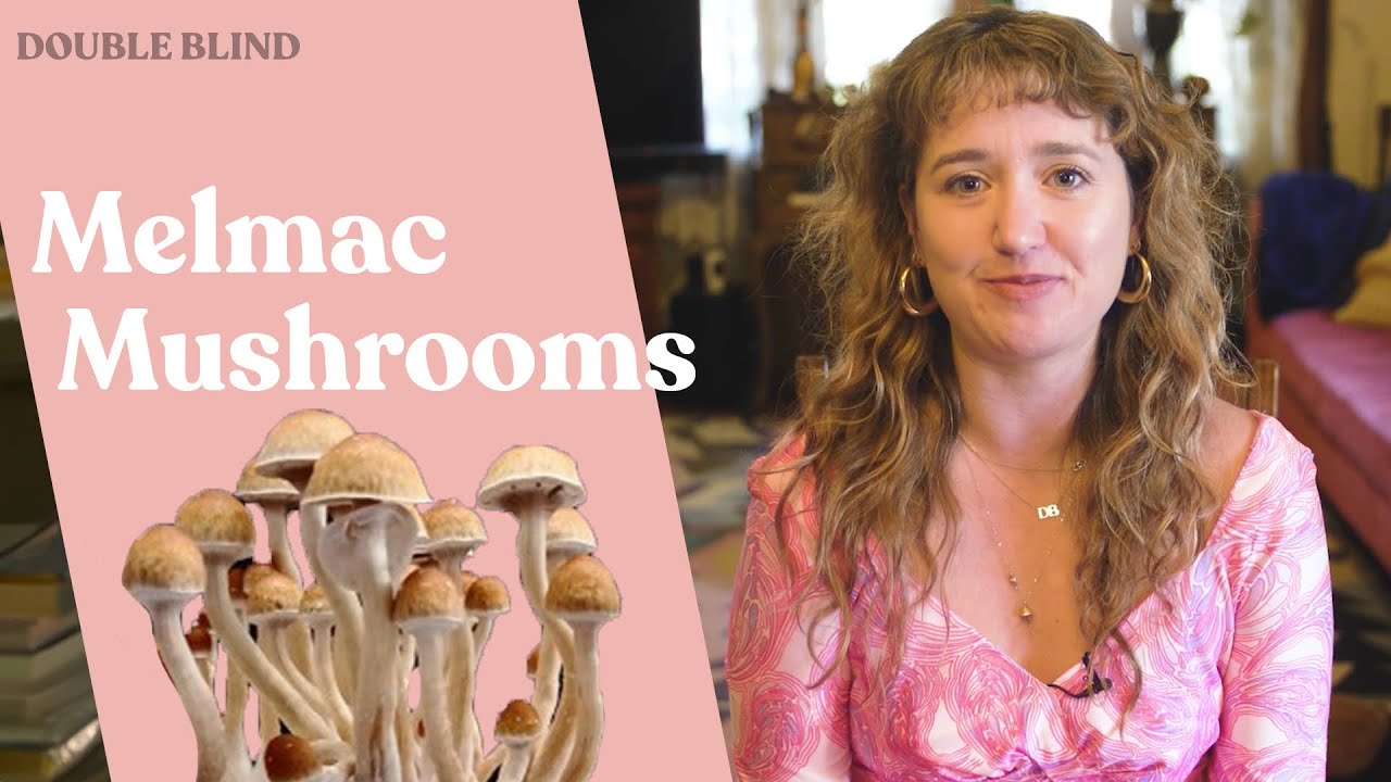 Melmac Mushrooms: What Are They? 🍄 | DoubleBlind
