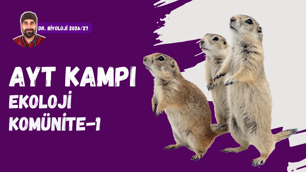 Komünite Ekolojisi 1 | Dr. Biyoloji | AYT Dönem 2026 - 2027