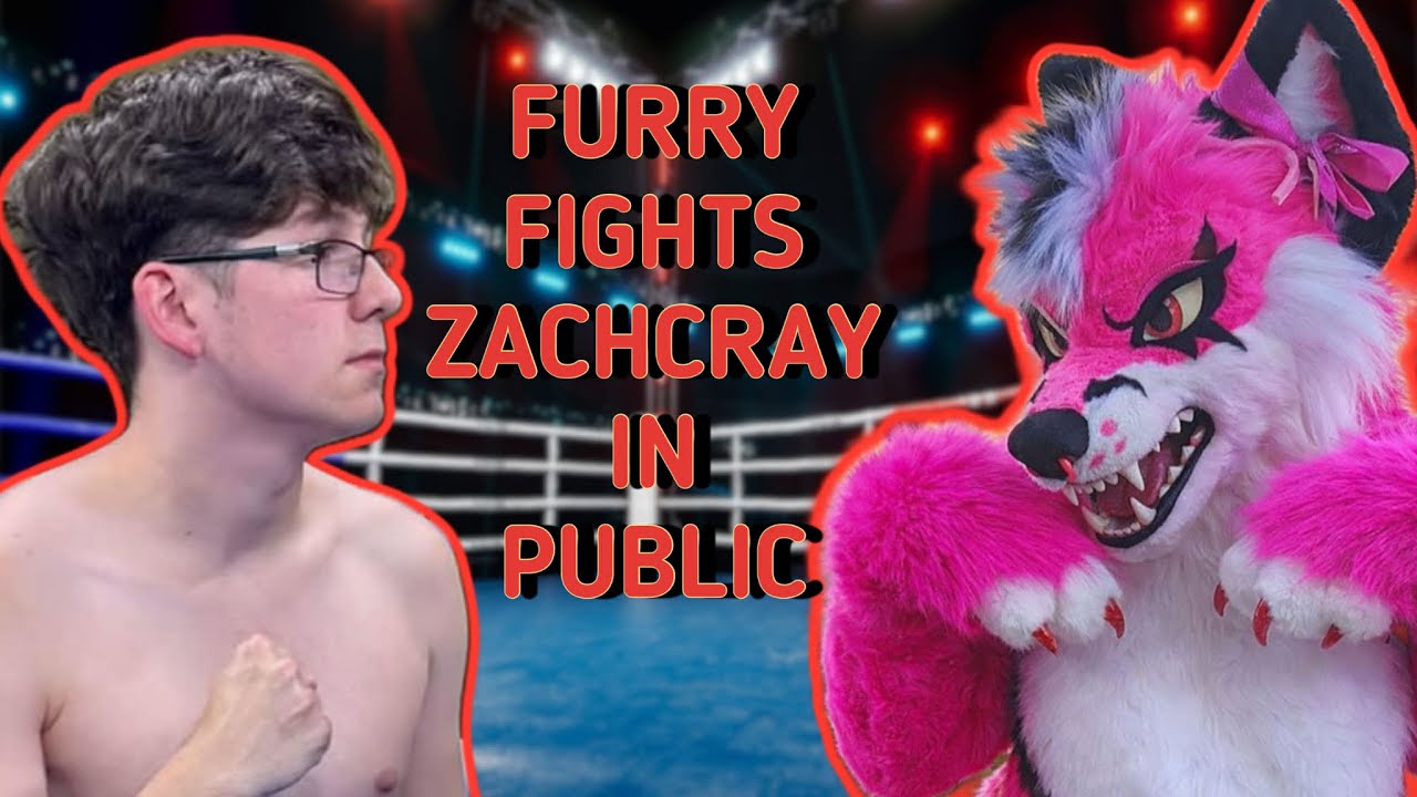 Furry Fights ZachCray