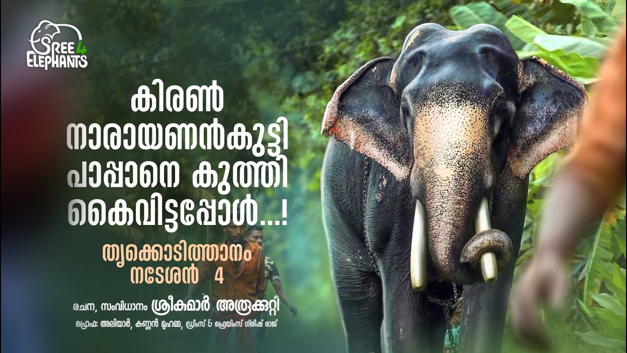ആനയുടെ കുറച്ചു മാറി നിന്ന് ഒന്നു ചുമച്ചു..എന്നിട്ട് ഒരു ബീഡി കത്തിച്ചു... ബീഡി കെട്ടു..എന്നിട്ട്..?