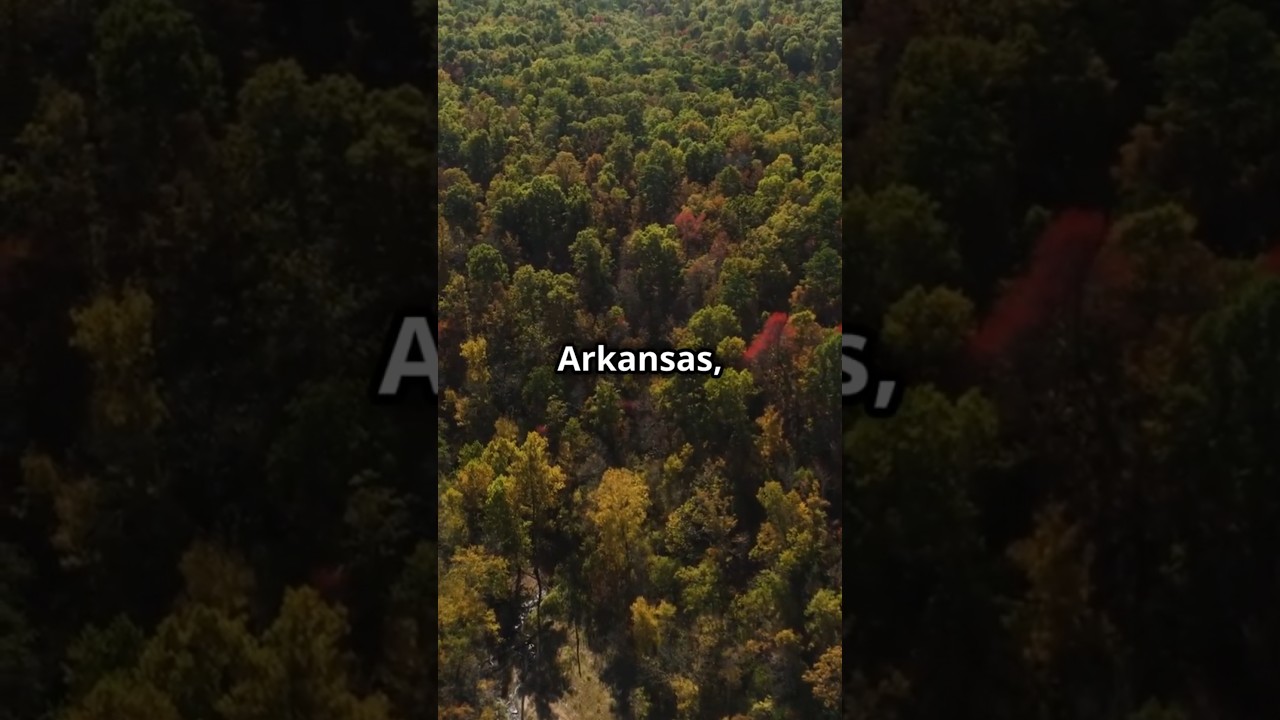 Discover Unknown Facts About the 50 U.S. States! #4 Arkansas