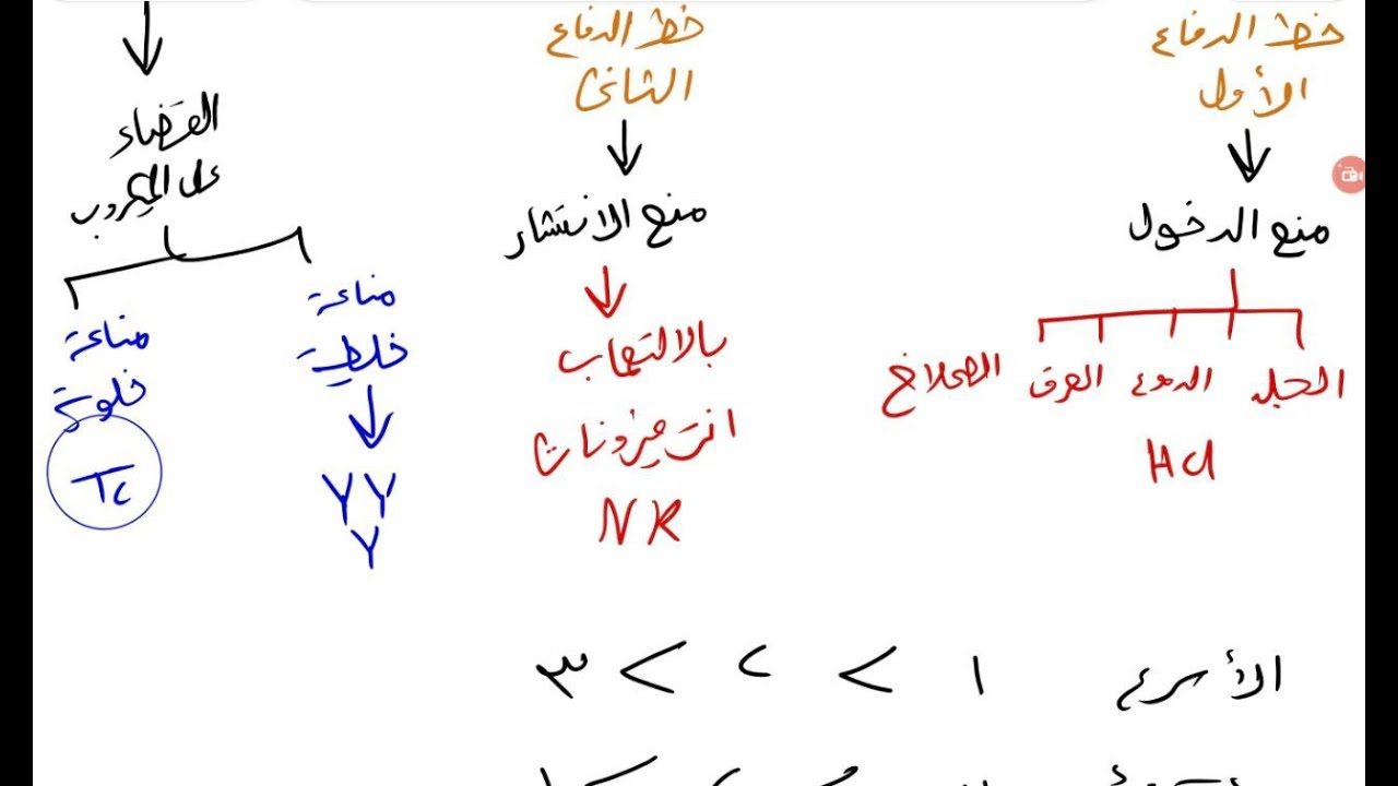 الية عمل الجهاز المناعي( المناعة الفطرية) خط الدفاع الاول و الثاني