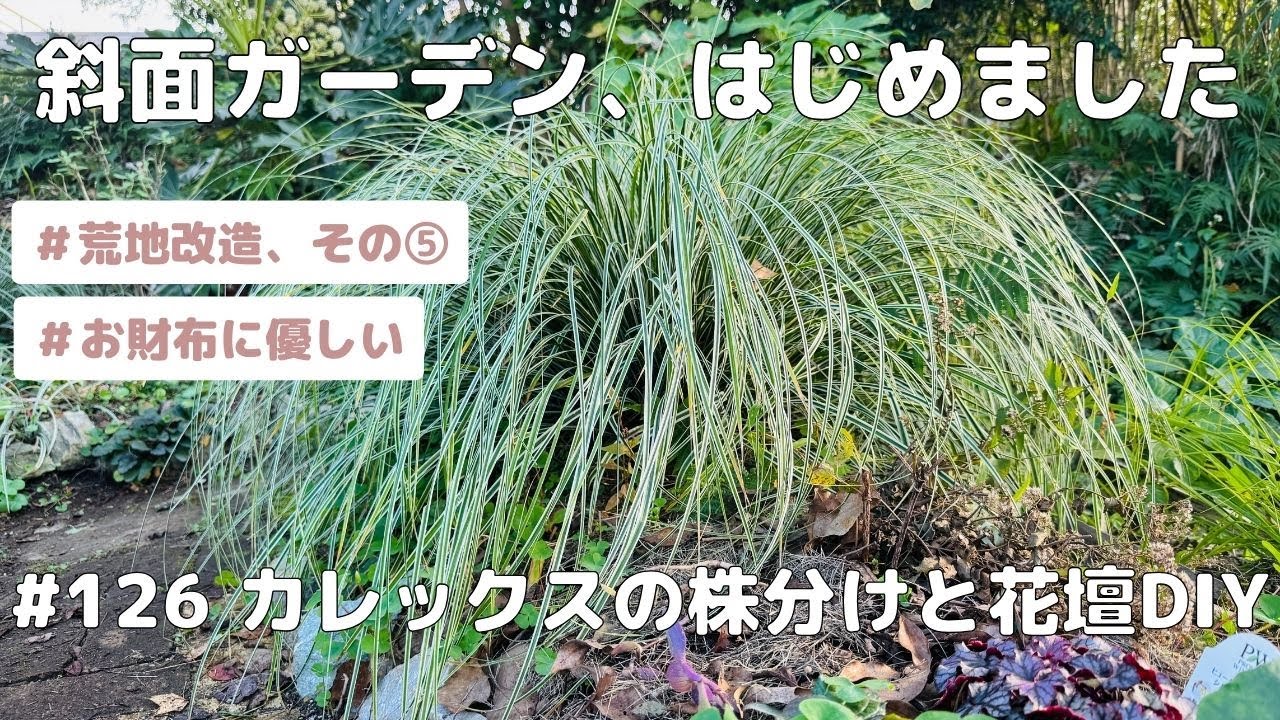 【