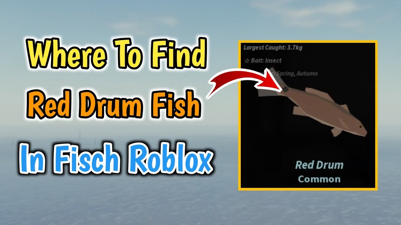 Where To Find Red Drum Fish In Fisch Roblox | Red Drum Fisch Location