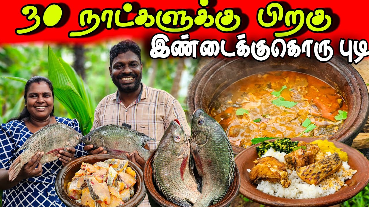 3kg மீன் சமைத்து நல்ல ஒரு புடி | village life ♥️ | vanni vlog