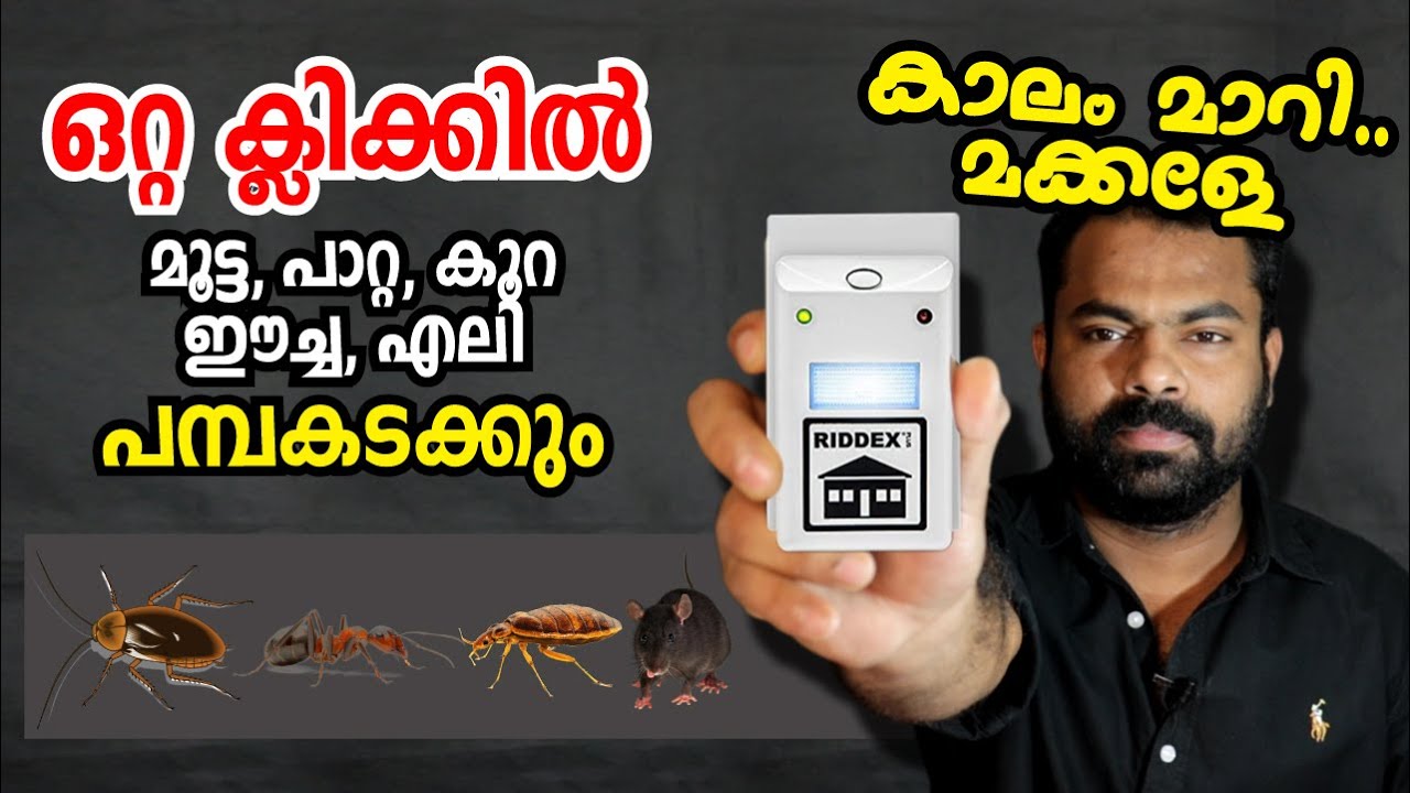 RIDDEX PEST CONTROL - Is it fake? Does it work? | Riddex Insect Killer used and review
