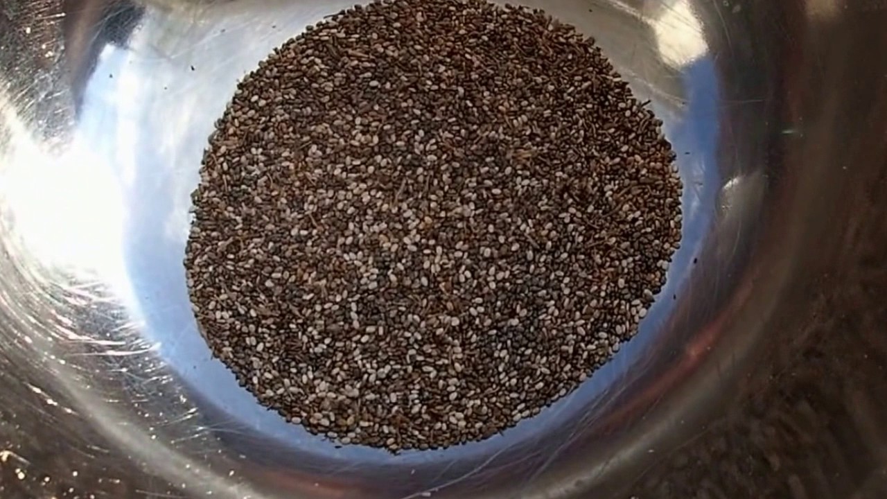Chia food for life-CHAKULA BORA KWA AFYA