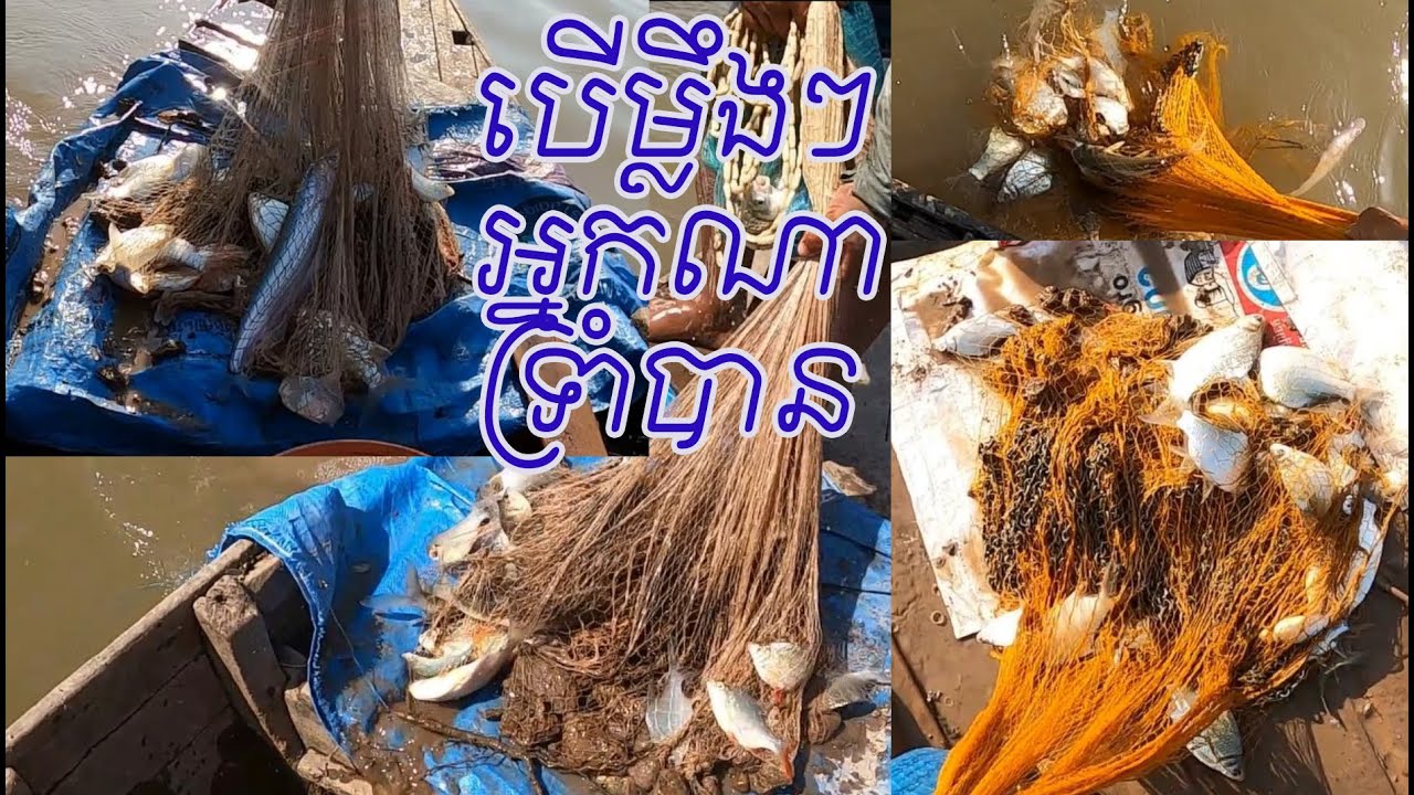 សរុបលទ្ធផល The Best Fishing Videos 2026 | #784