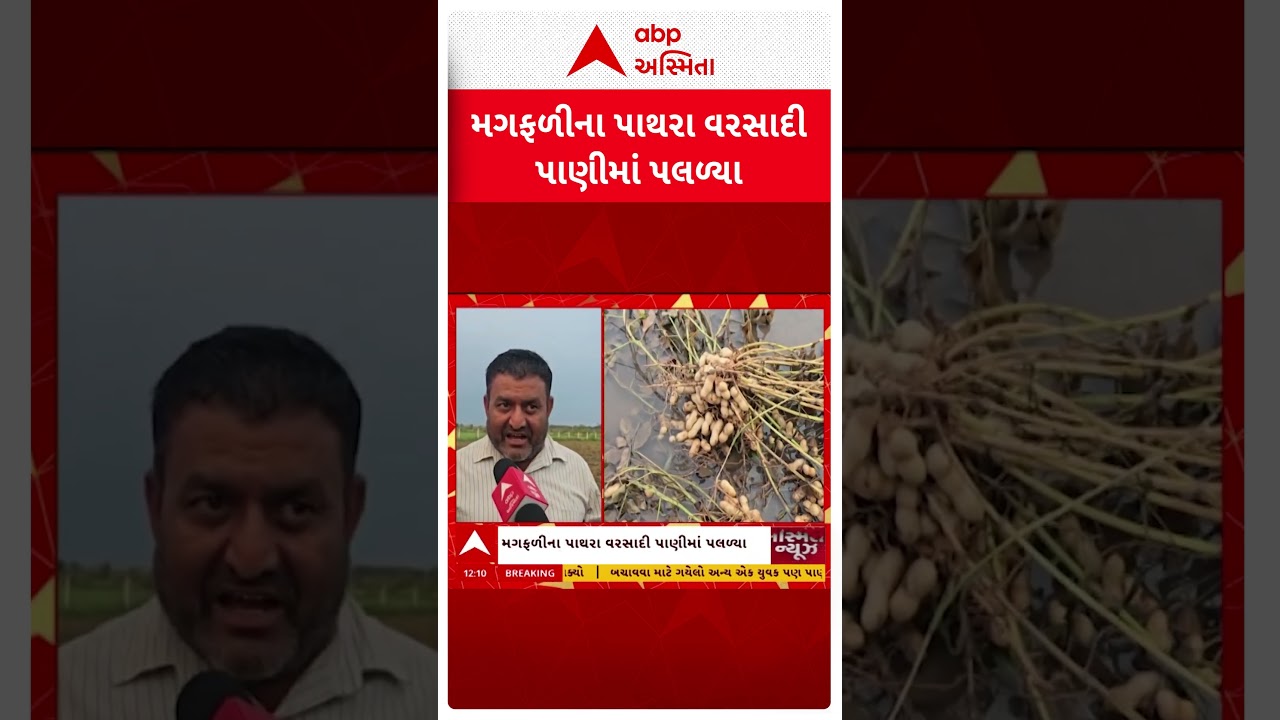 Gir Somnath | ગીર સોમનાથમાં ભારે વરસાદથી તારાજી