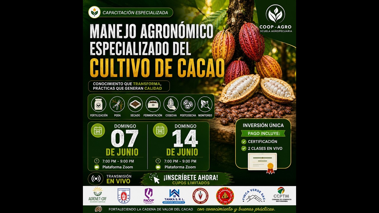 Manejo integrado del cultivo de cacao - DOMINGO 18 ENERO 1° CLASE