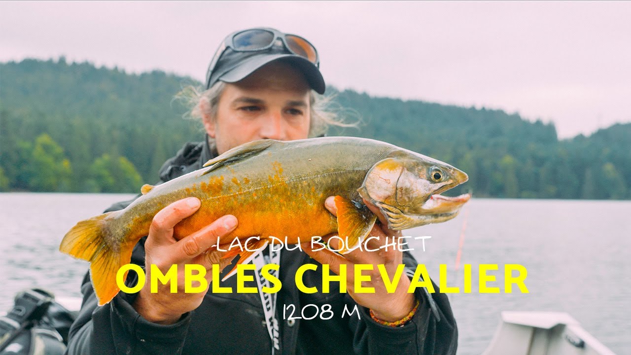 Les OMBLES CHEVALIERS du lac du BOUCHET