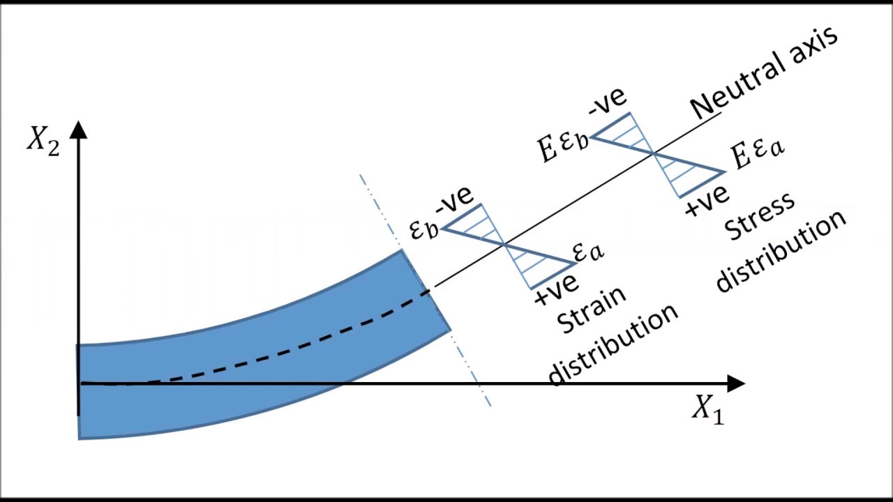 What is STRAIN? Concept of strains and their types