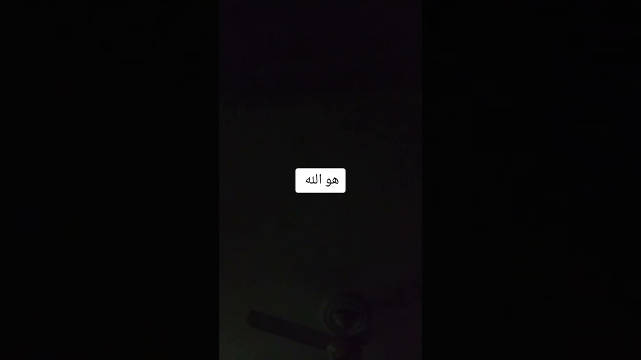 ٦ نوفمبر ٢٠٢٥