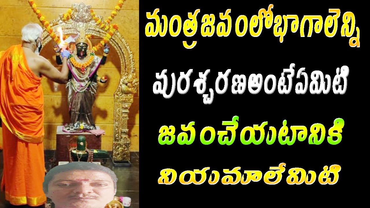 How to do Mantra japam│ siddheswarananda bharati swami మంత్రం జపం ఎలా చేయాలి │పురశ్చరణ అంటేఏమిటి