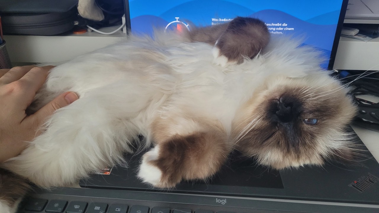 'Laptop? You Mean Heated Mattress!'
