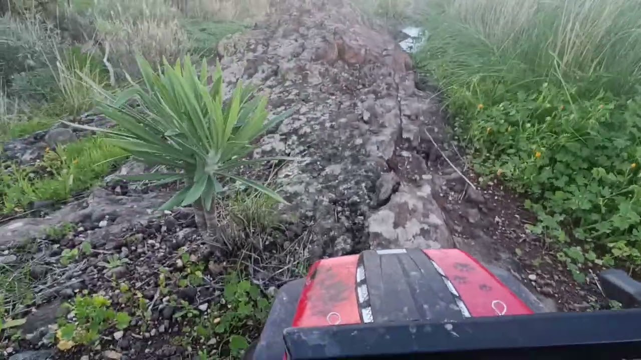 RC CRAWLER CANARIAS: Mí RC RUBICON 