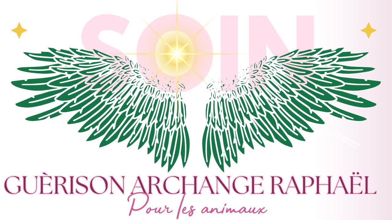 Ange Raphaël Guérison animaux