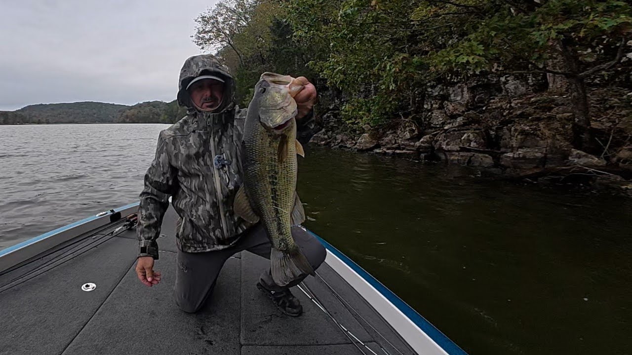 Clueless (Guntersville)