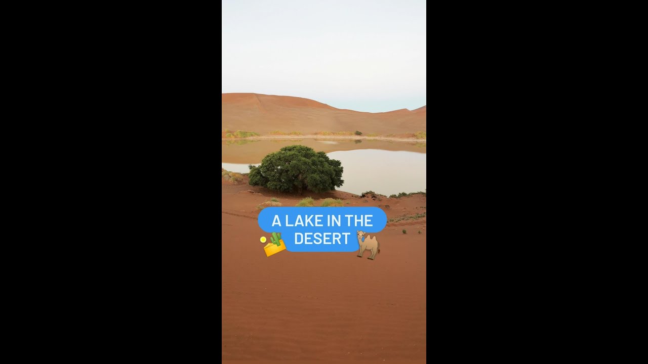 Have you ever seen a lake in a desert? 🏜️🐫 Here is one &ndash; in Namib Desert!