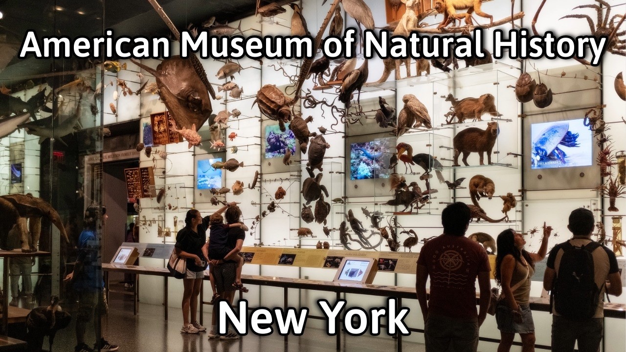 American Museum of Natural History Tour - New York City | 4K