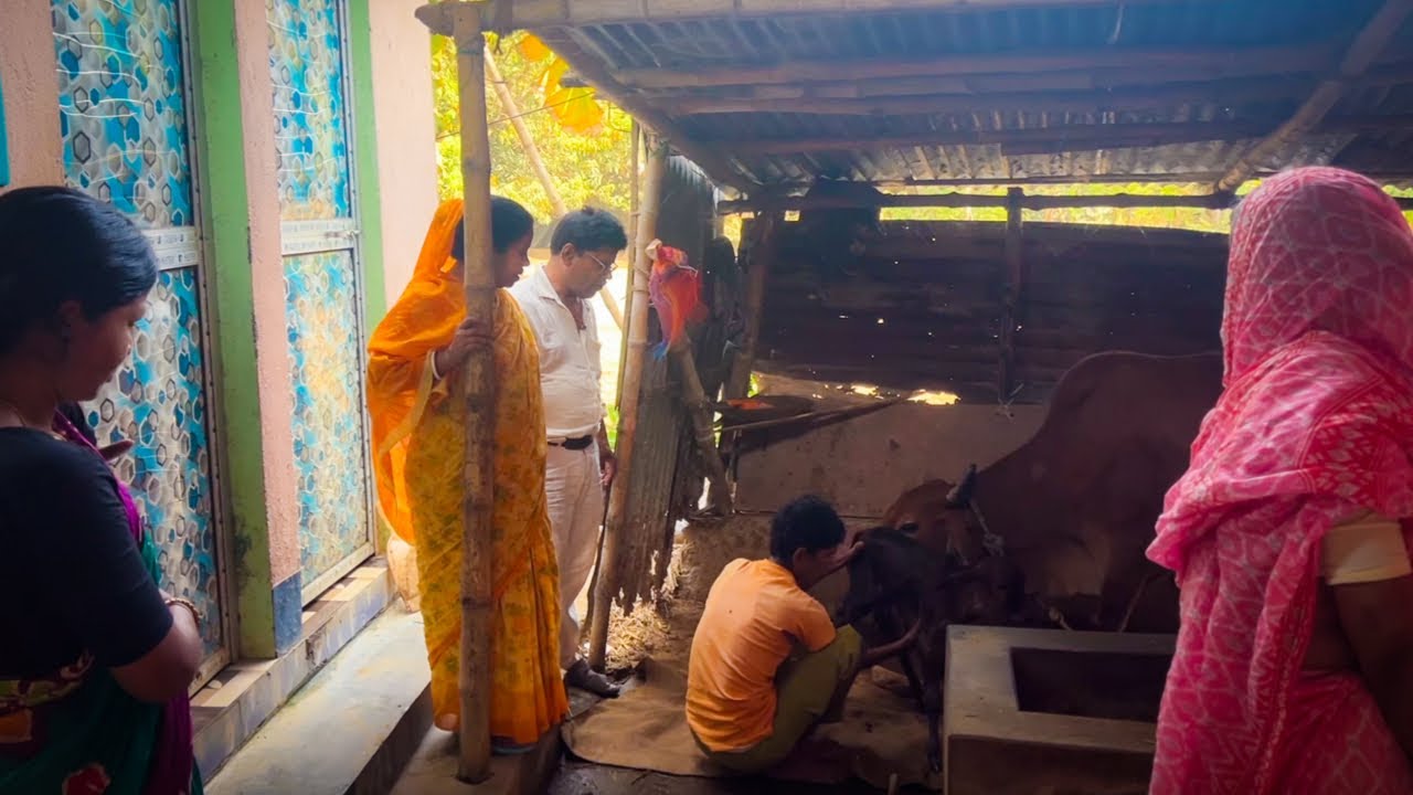 এবার 3 তারিখে না 4 তারিখে দোল আপনারাই জানাবেন | আমাদের বাড়িতে নতুন সদস্য এলো |