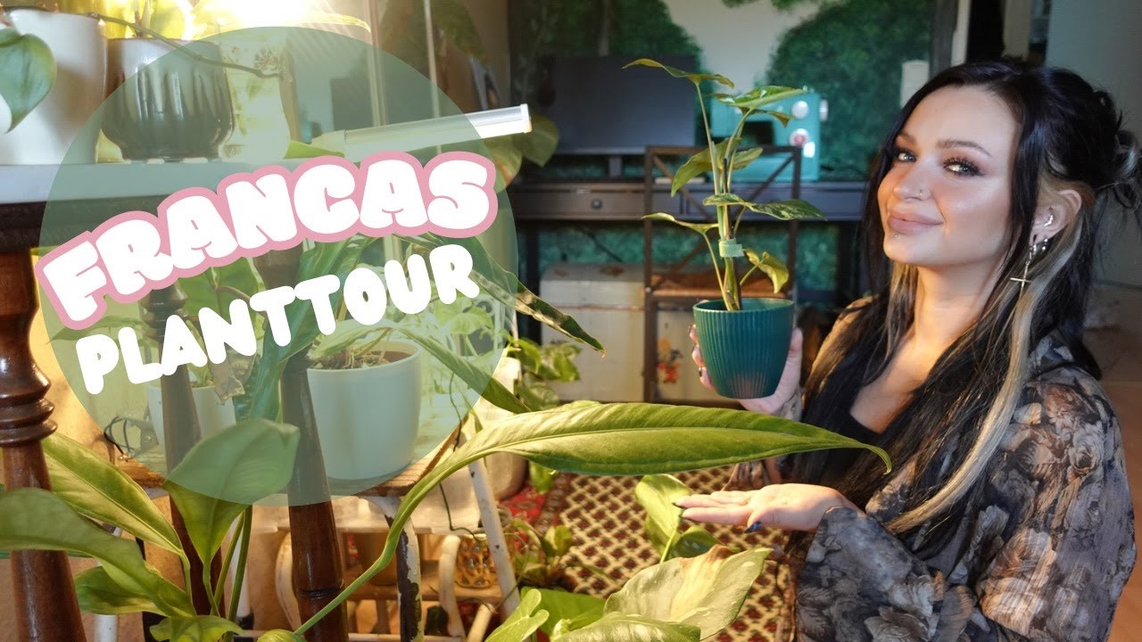 Francas PLANTTOUR 🪴 2024 ✨