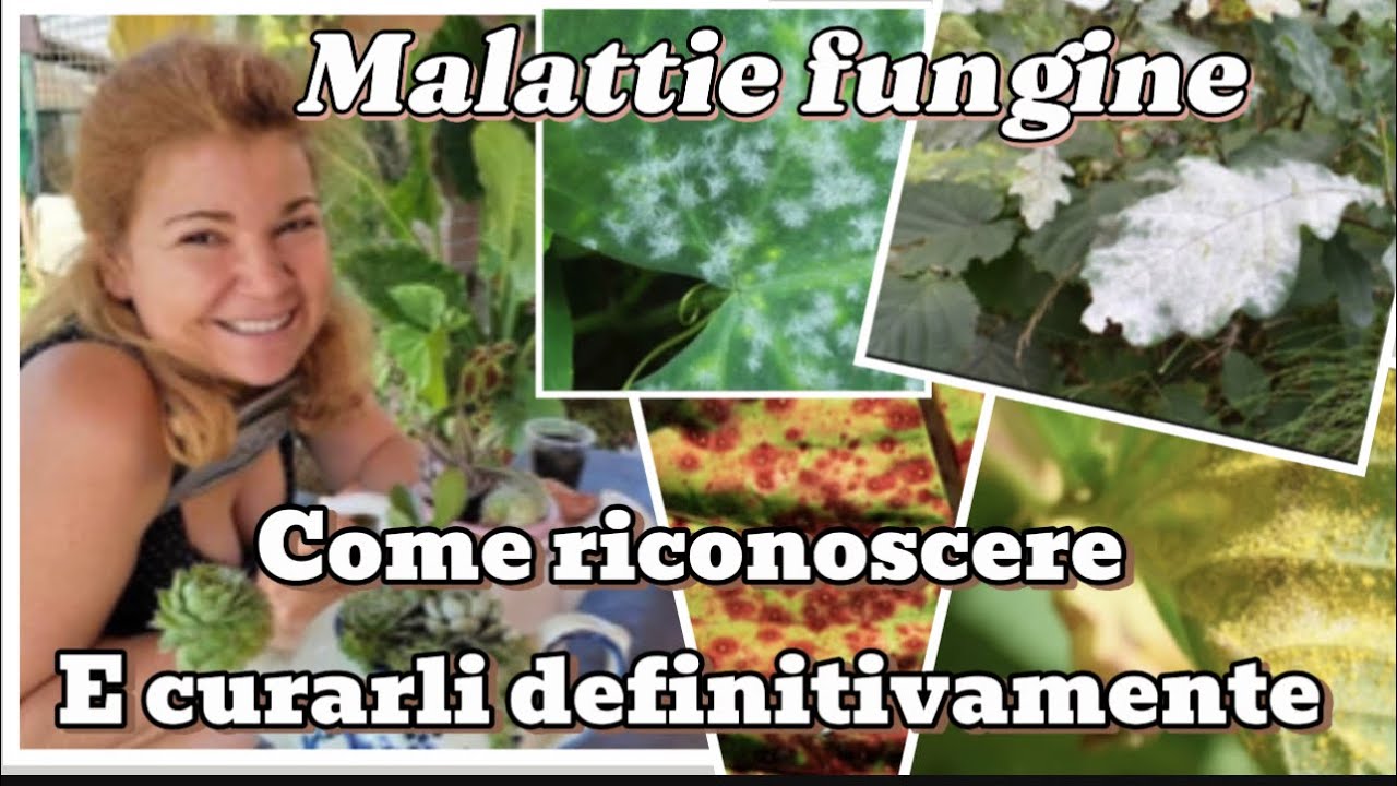 Malattie fungine :TUTTO quello che deve sapere
