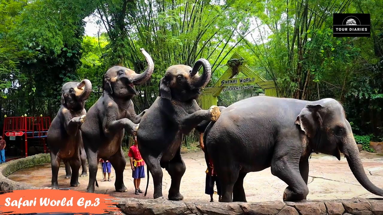 ELEPHANT SHOW | SAFARI WORLD BANGKOK 2022 | TOUR DIARIES