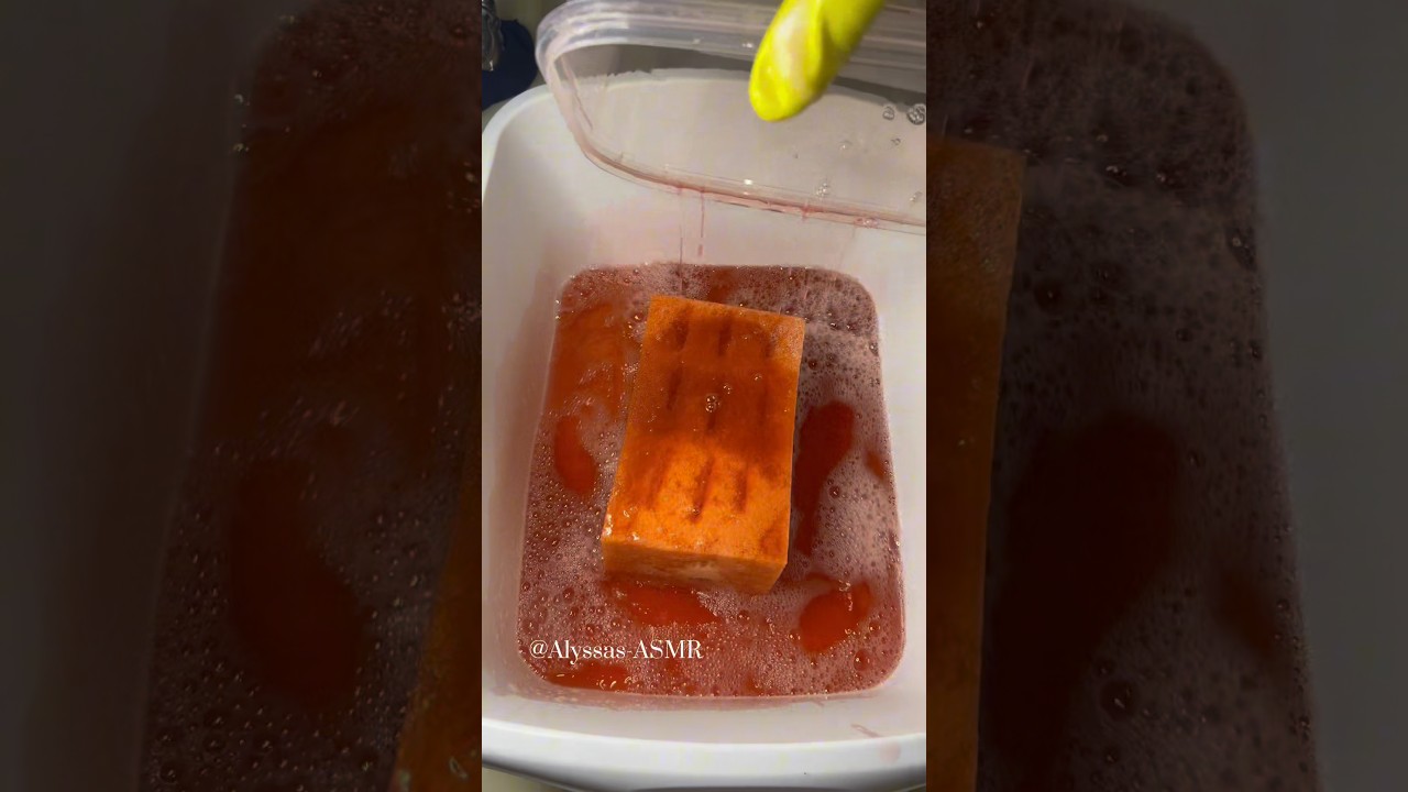 Soft pine brick 😍🌲 #pinesol #cleantok #spongeasmr #oddlysatisfying