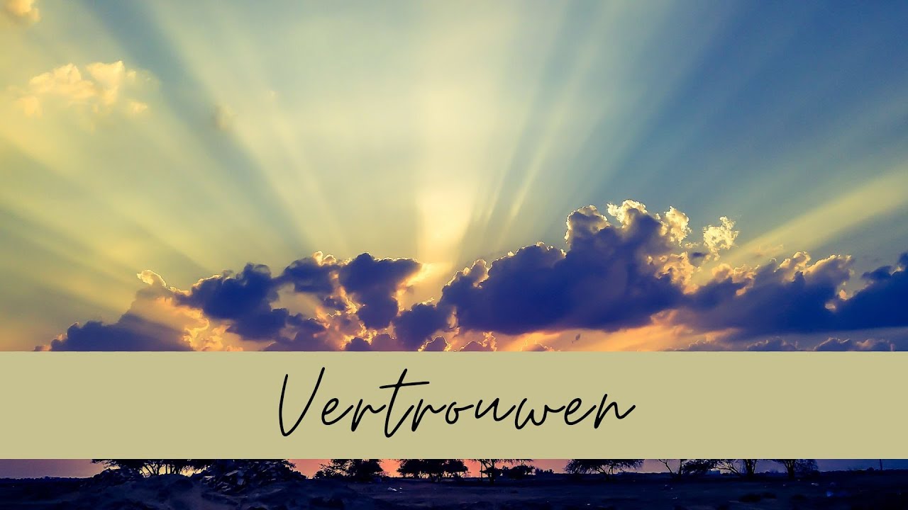 Inzicht voor vandaag tarot reading | Een liefdevol en moedig nieuw begin