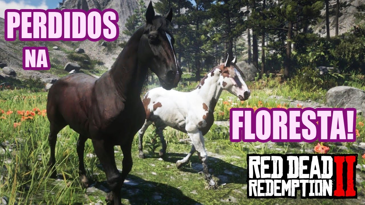 PERDIDOS NA FLORESTA! (roleplay Historia parte 8) RDR2