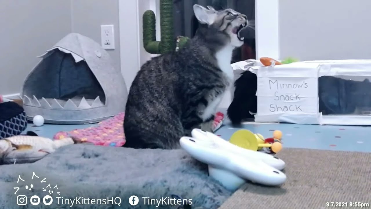 Buttercup and Westley get a message from the Vent People