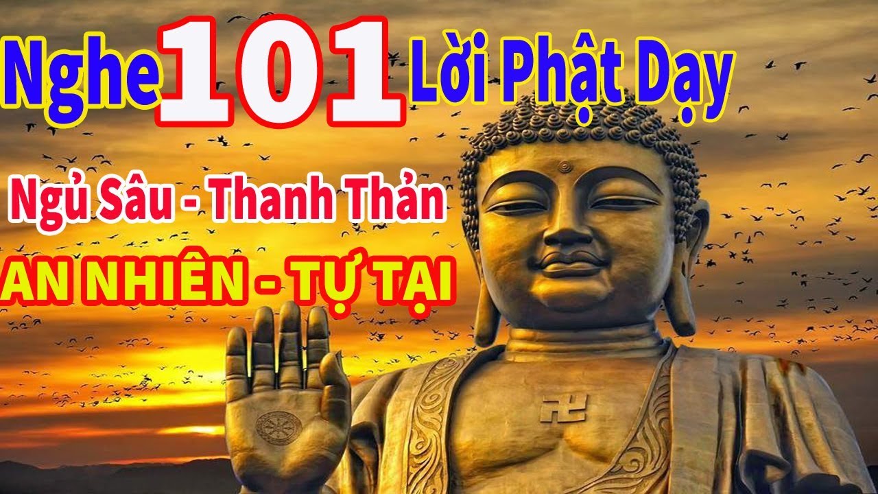 Nghe 101 lời phật dạy - Ngủ S&acirc;u Giấc,Chữa Mọi T&acirc;m Bệnh , Sống An Nhi&ecirc;n Tự Tại