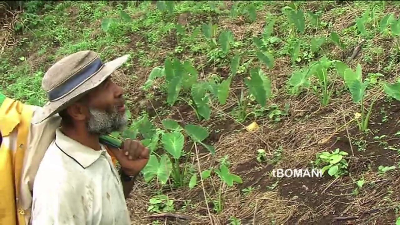 Nasoki Village Development Project 2012