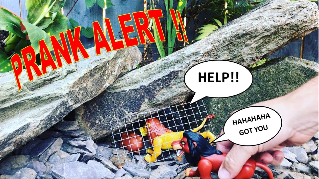Lion king toys Mufasa plays prank on scar