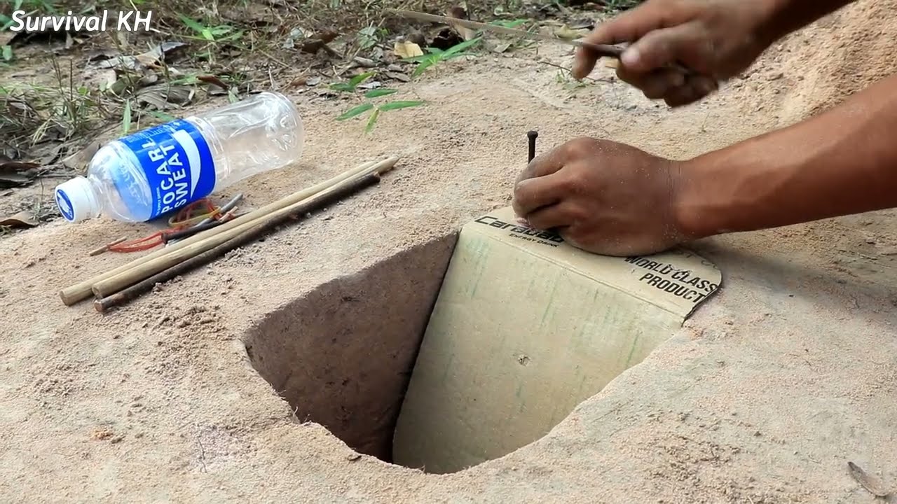 Easy Parrot  bird trap - Underground Parrot  trap​​ Easy to Use with Wood & Bottle and Cardboard