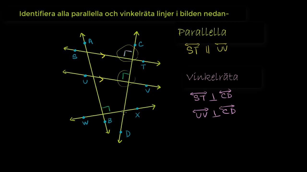Parallella & vinkelräta linjer
