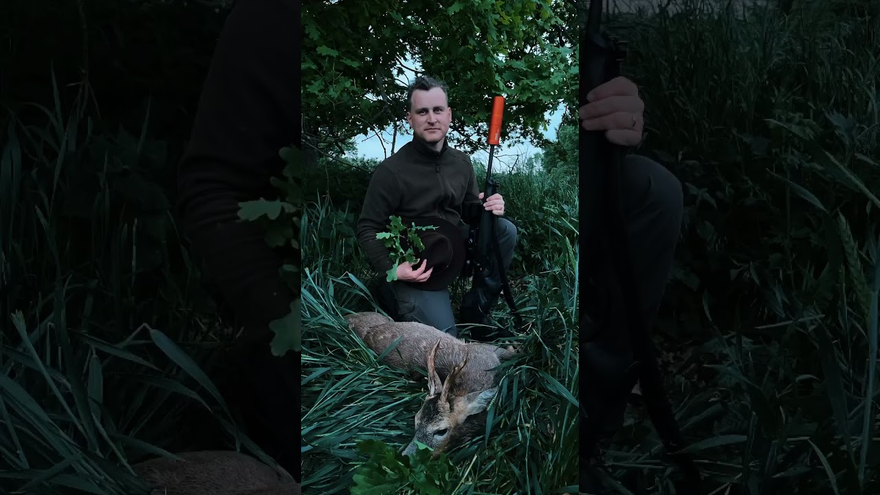 Hunting roe deer with Norma Bondstrike (in cooperation with Norma Ammo)