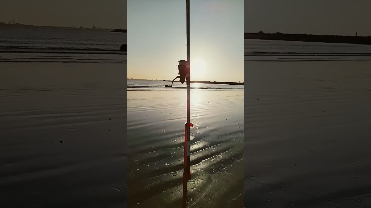 #pesca #tiempodepesca #surfcasting #please #parati #playa #viralvideo