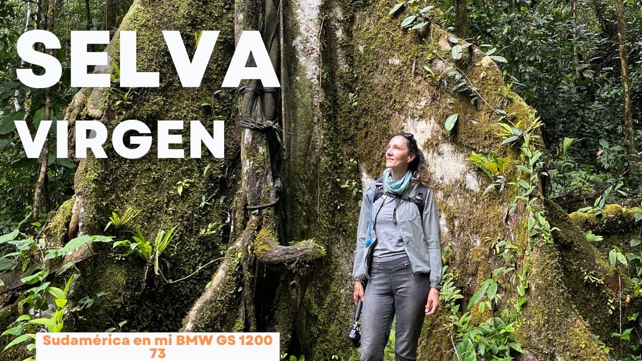 73 - Piso Selva virgen en Ecuador 🐍 🕷️