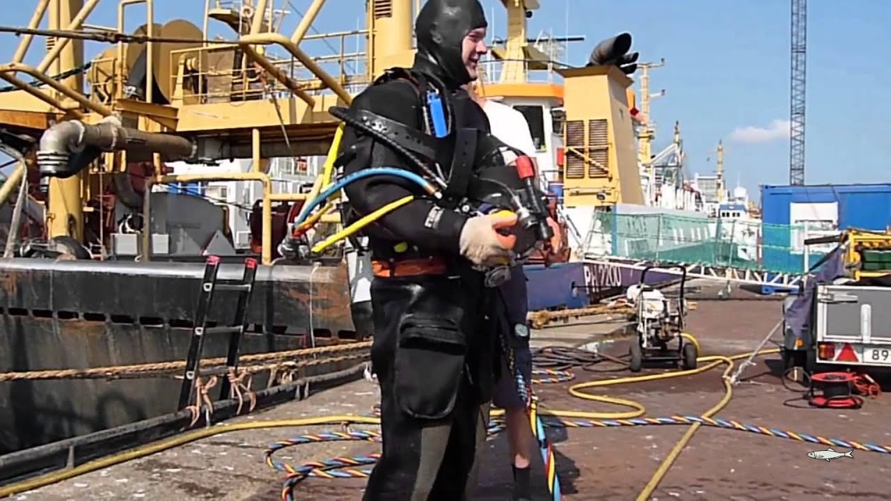 Duikers Scheveningen
