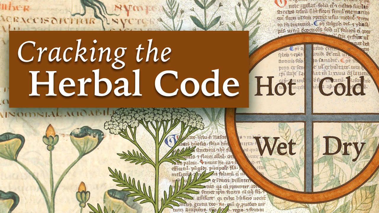 HUMORAL Herbal Medicine Theory &ndash; How the Greeks & Romans Classified Plants