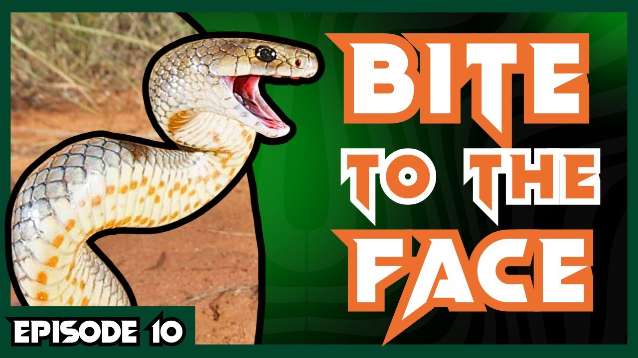 Brown Snake CLOSE CALL + Giveaway | Venom Diaries