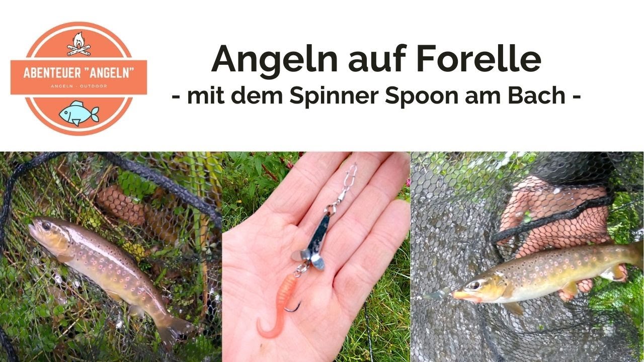 Forellenangeln mit dem Spinner Spoon von Blinker Jörg - Angeln auf Forelle am kleinen Bach